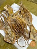 Extra large dried squid